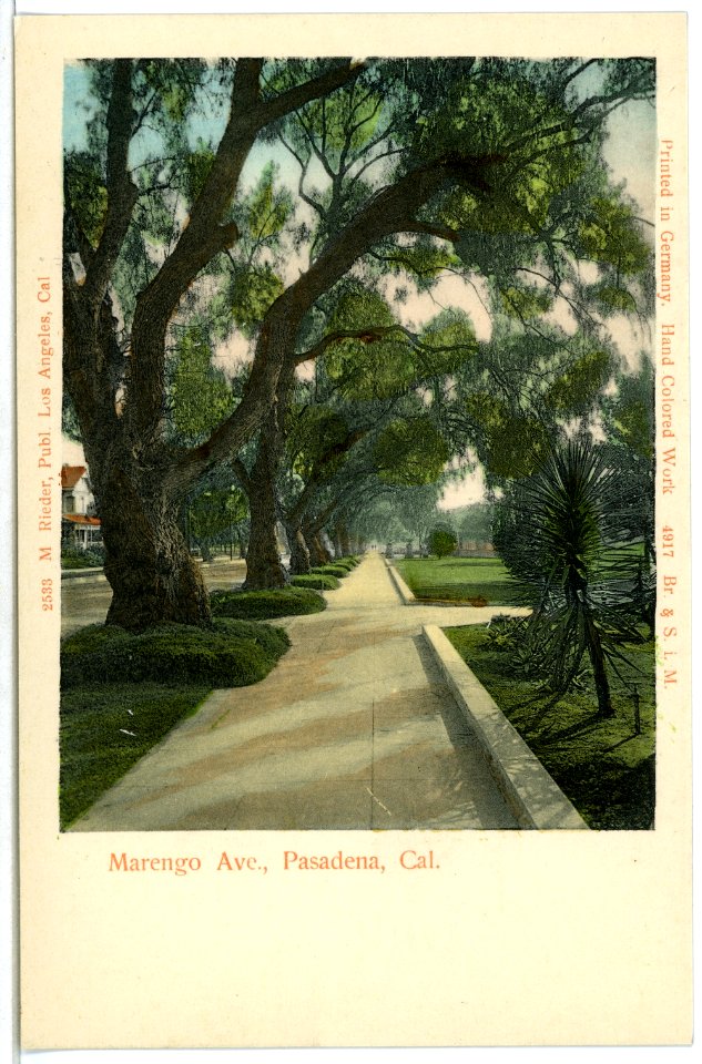04917-Pasadena-1903-Marengo Ave, Pasadena-Brück & Sohn Kunstverlag
