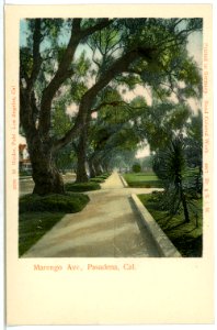 04917-Pasadena-1903-Marengo Ave, Pasadena-Brück & Sohn Kunstverlag