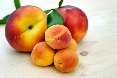 Fruit fruits ripe