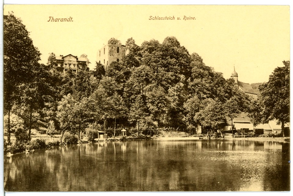 13576-Tharandt-1911-Schloßteich und Ruine-Brück & Sohn Kunstverlag