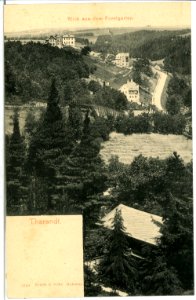 05240-Tharandt-1904-Blick aus dem Forstgarten-Brück & Sohn Kunstverlag