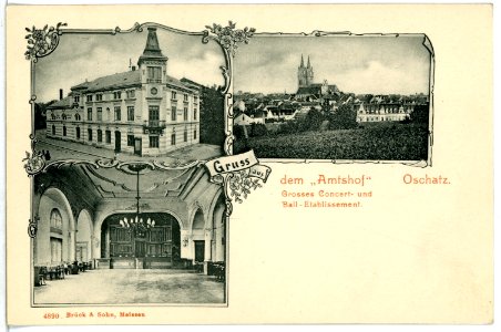 04890-Oschatz-1903-Amtshof - Blick auf die Stadt und Dom-Brück & Sohn Kunstverlag