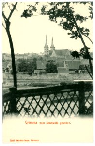 05503-Grimma-1904-vom Stadtwäldchen gesehen-Brück & Sohn Kunstverlag