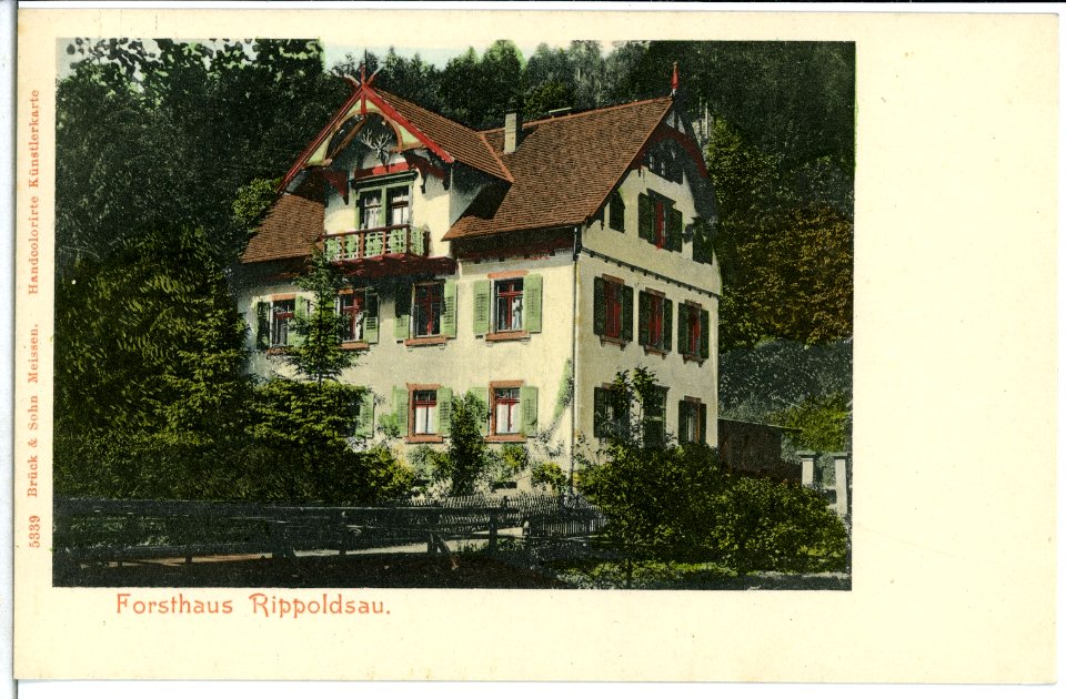 05339-Rippoldsau-1904-Forsthaus-Brück & Sohn Kunstverlag