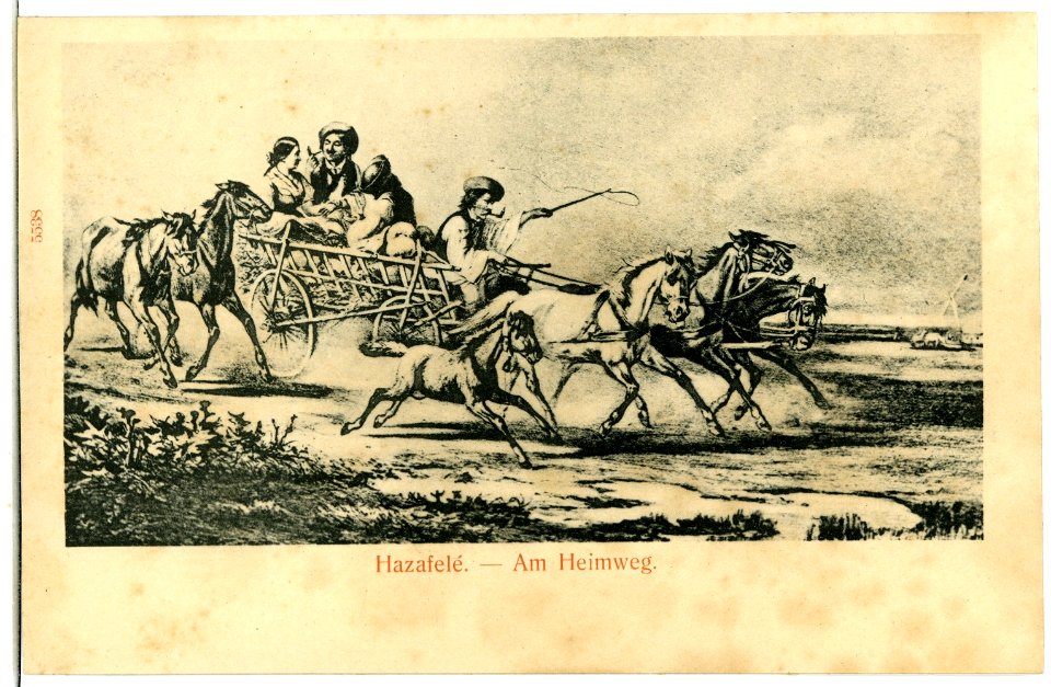 05538--1904-Hazafele - Am Heimweg-Brück & Sohn Kunstverlag