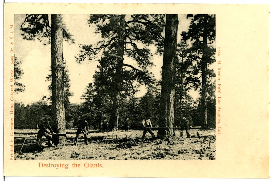 05406--1904-Destroying the Giants-Brück & Sohn Kunstverlag