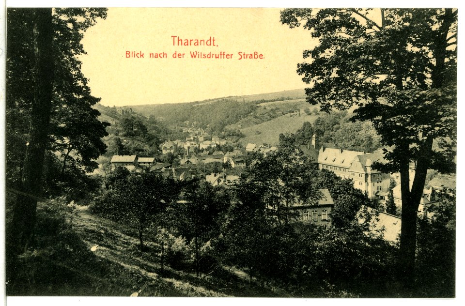13575-Tharandt-1911-Wilsdruffer Straße-Brück & Sohn Kunstverlag
