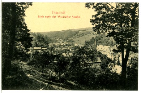 13575-Tharandt-1911-Wilsdruffer Straße-Brück & Sohn Kunstverlag
