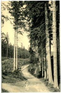 13895-Olbernhau-1912-Partie beim Wasserbassin-Brück & Sohn Kunstverlag