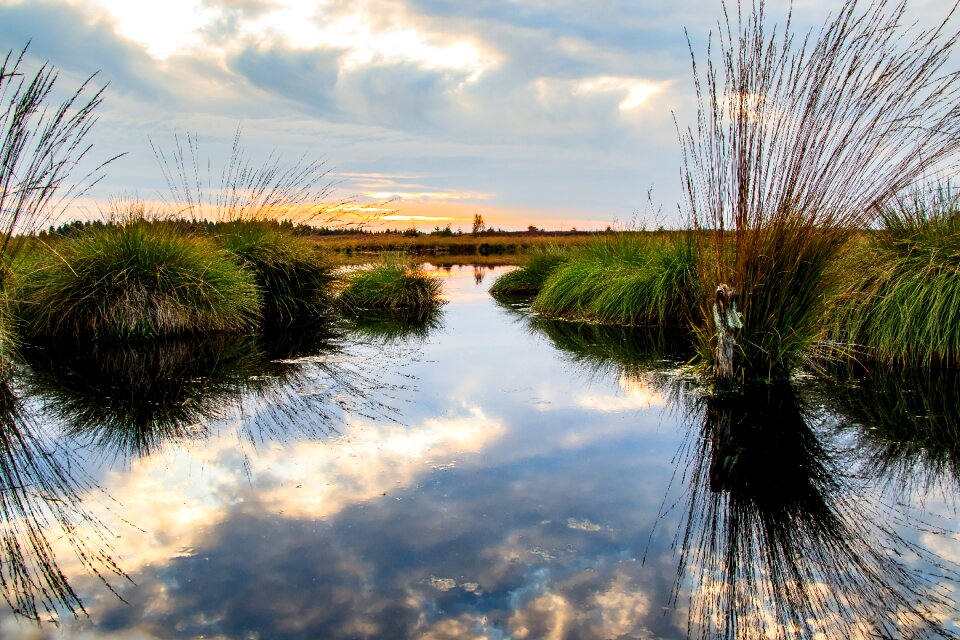 Nature nature reserve moorland