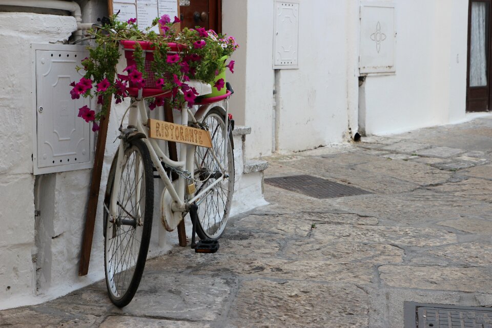 Planter summer puglia
