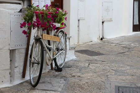 Planter summer puglia