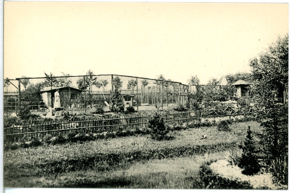 13768-Freiberg-1912-Wald Cafe-Brück & Sohn Kunstverlag