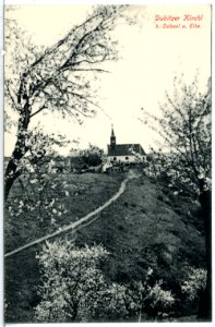 13606-Dubitz-1911-Baumblut am Dubitzer Kirchl-Brück & Sohn Kunstverlag