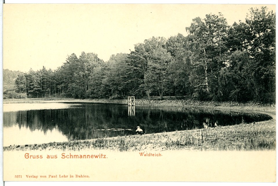 05371-Schmannewitz-1904-Waldteich mit Freibad-Brück & Sohn Kunstverlag