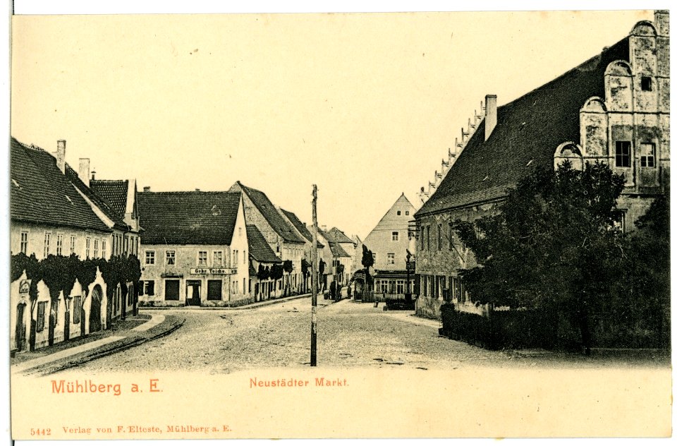 05442-Mühlberg-1904-Neustädter Markt-Brück & Sohn Kunstverlag