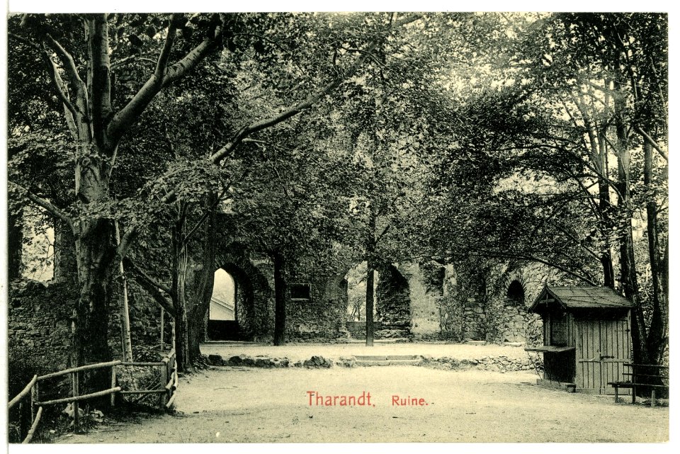13607-Tharandt-1911-Ruine-Brück & Sohn Kunstverlag