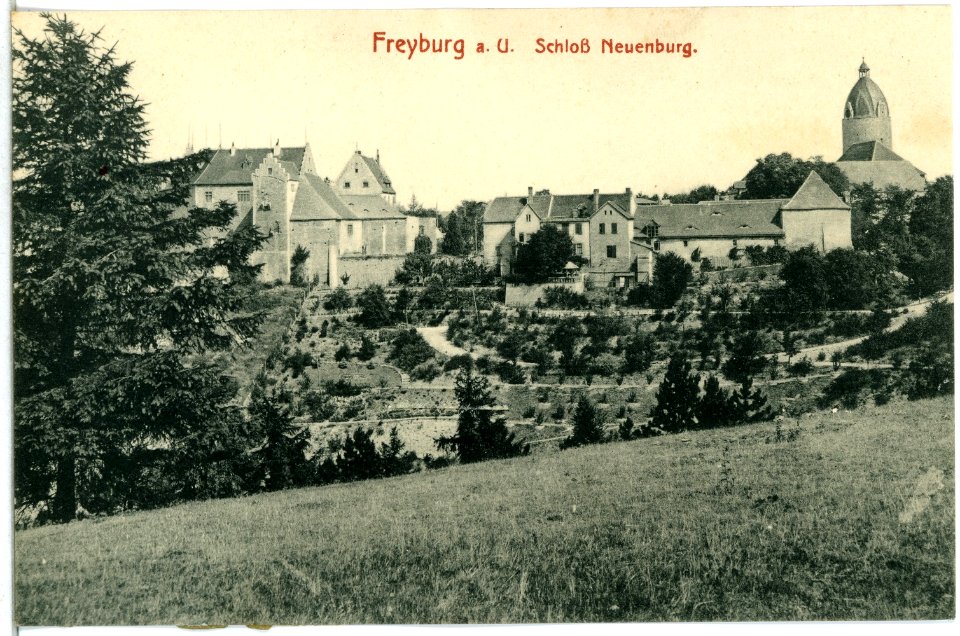 14164-Freyburg-1912-Schloß Neuenburg-Brück & Sohn Kunstverlag