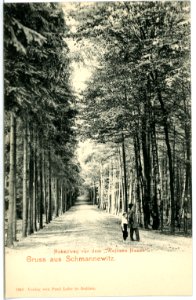 05348-Schmannewitz-1904-Hakenweg vor dem Weißen Hause-Brück & Sohn Kunstverlag