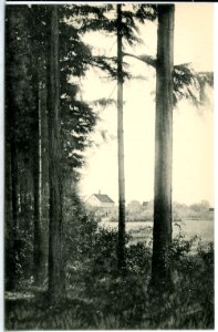 13770-Freiberg-1912-Wald Cafe-Brück & Sohn Kunstverlag