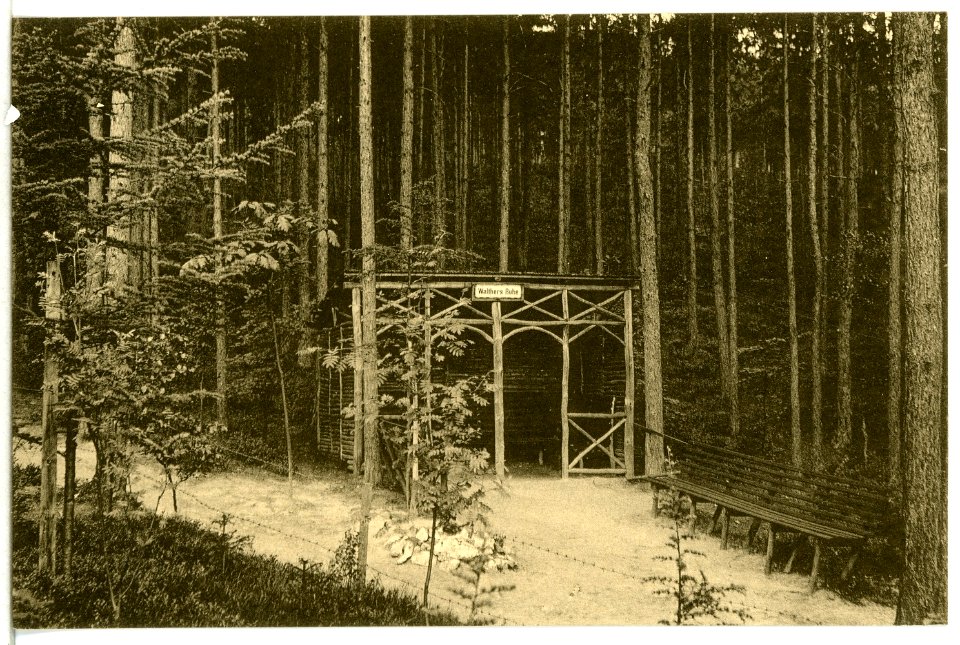 13643-Mühlhausen-1911-Anlagen im Heim-Wald des Genesungsheimes-Brück & Sohn Kunstverlag