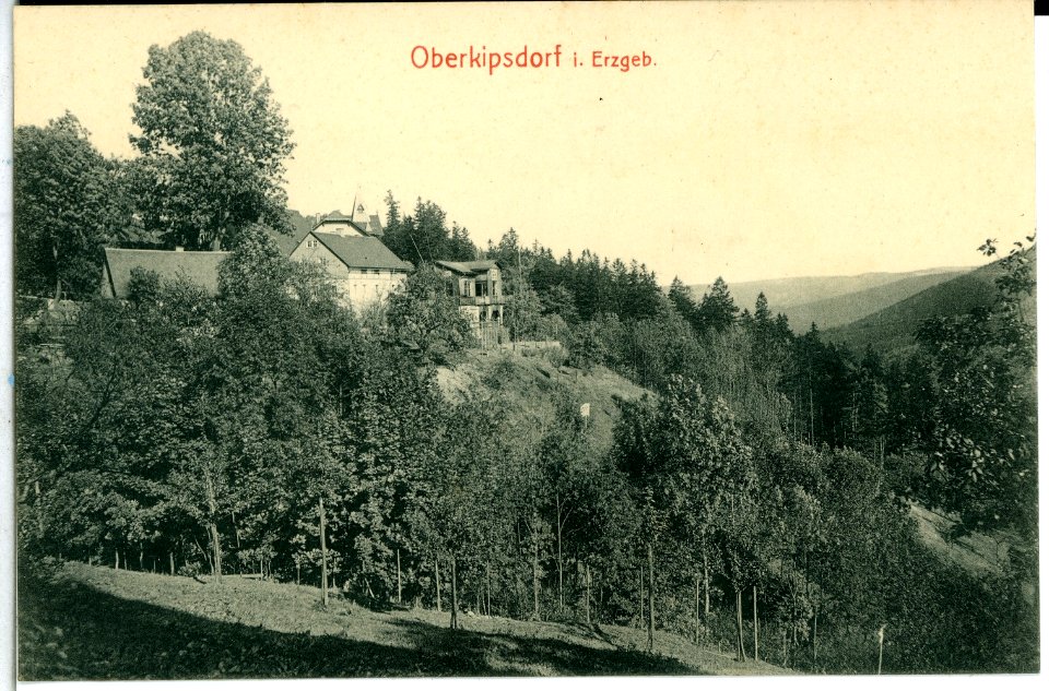 14171-Kipsdorf-1912-Oberkipsdorf-Brück & Sohn Kunstverlag