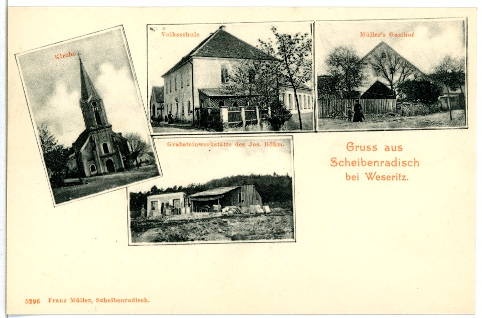 05296-Scheibenradisch-1904-verschiedene Motive-Brück & Sohn Kunstverlag