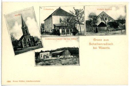 05296-Scheibenradisch-1904-verschiedene Motive-Brück & Sohn Kunstverlag photo