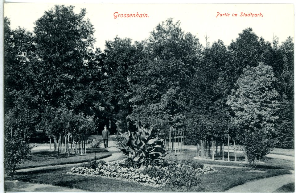 13814-Großenhain-1912-Stadtpark-Brück & Sohn Kunstverlag