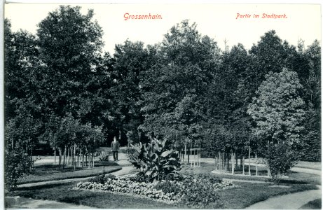 13814-Großenhain-1912-Stadtpark-Brück & Sohn Kunstverlag
