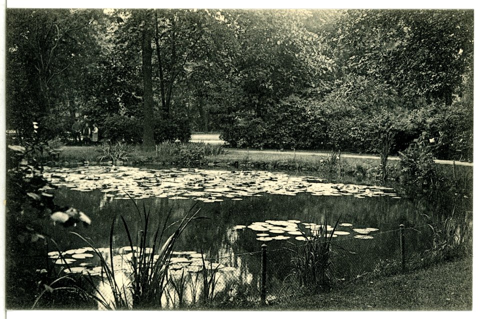 13530-Chemnitz-1911-Schloßteich-Brück & Sohn Kunstverlag