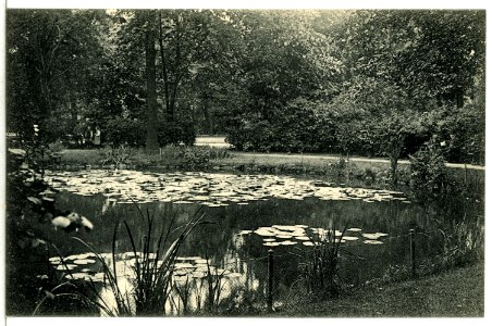 13530-Chemnitz-1911-Schloßteich-Brück & Sohn Kunstverlag