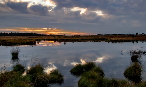 Nature nature reserve moorland photo