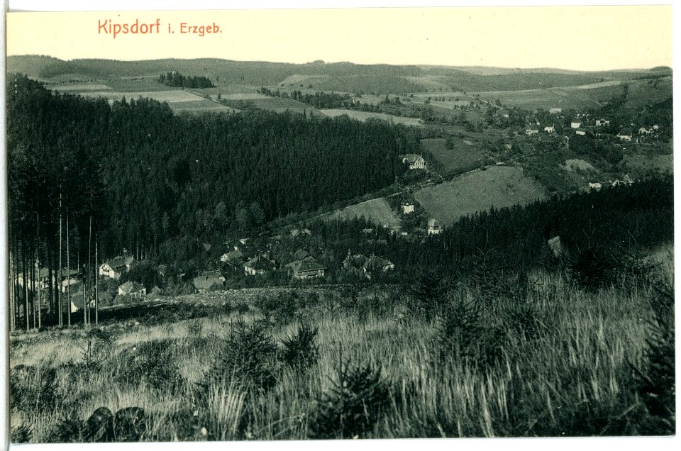 14170-Kipsdorf-1912-Blick auf Kipsdorf-Brück & Sohn Kunstverlag