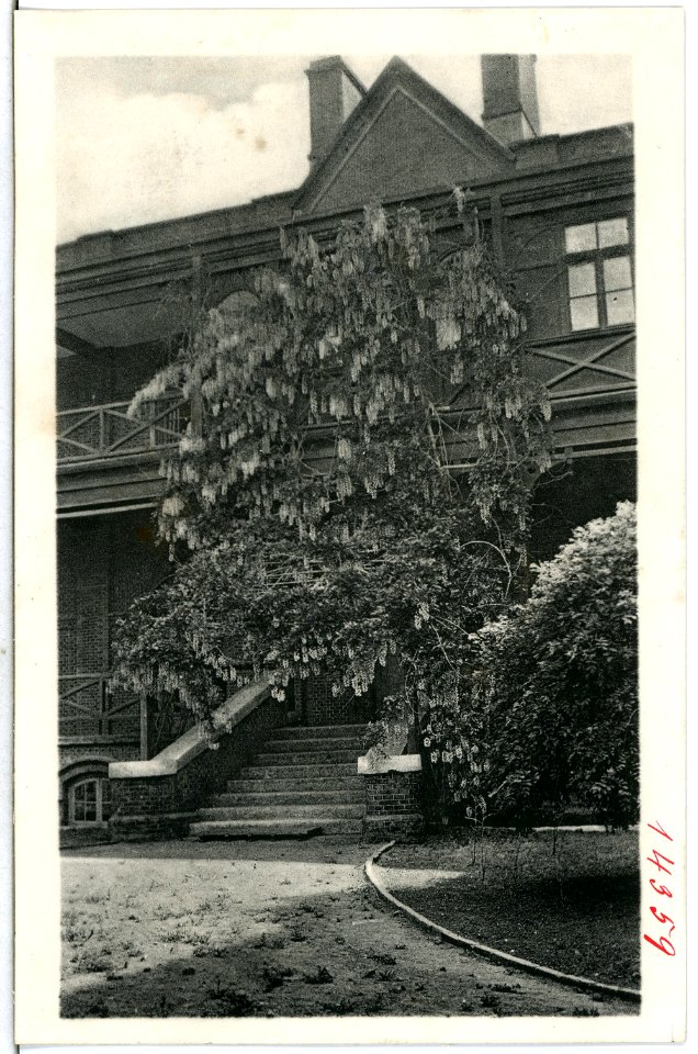 14359-Tientsin-1912-Aufgang zum deutschen Posten-Brück & Sohn Kunstverlag