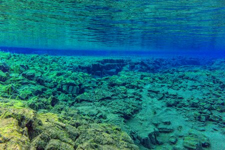 Ocean divers lung travel