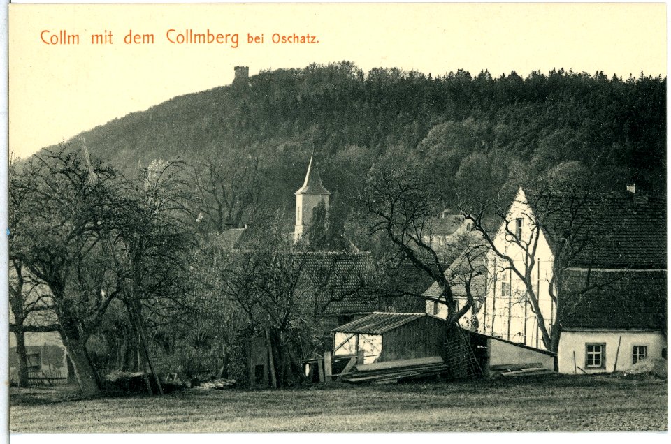 14364-Collm-1912-Blick zum Collmberg-Brück & Sohn Kunstverlag