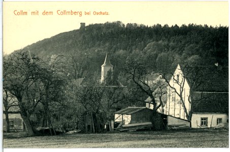 14364-Collm-1912-Blick zum Collmberg-Brück & Sohn Kunstverlag