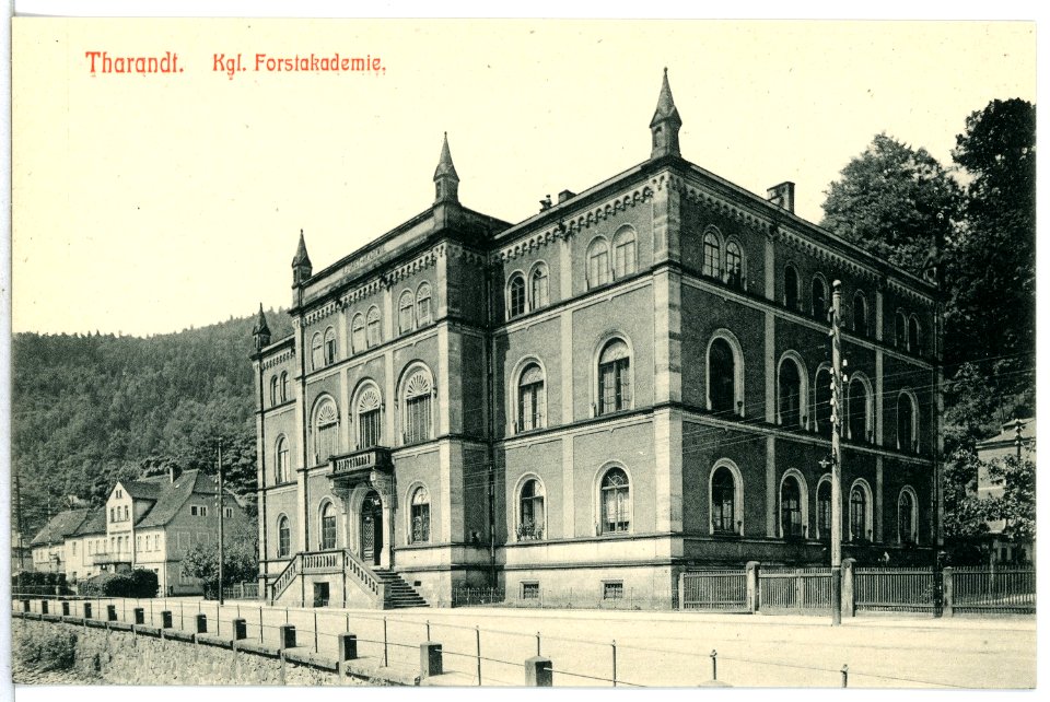 13601-Tharandt-1911-Forstakademie-Brück & Sohn Kunstverlag