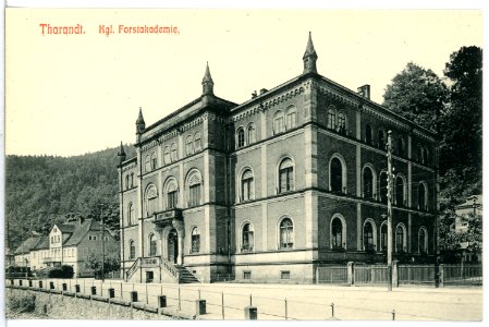 13601-Tharandt-1911-Forstakademie-Brück & Sohn Kunstverlag