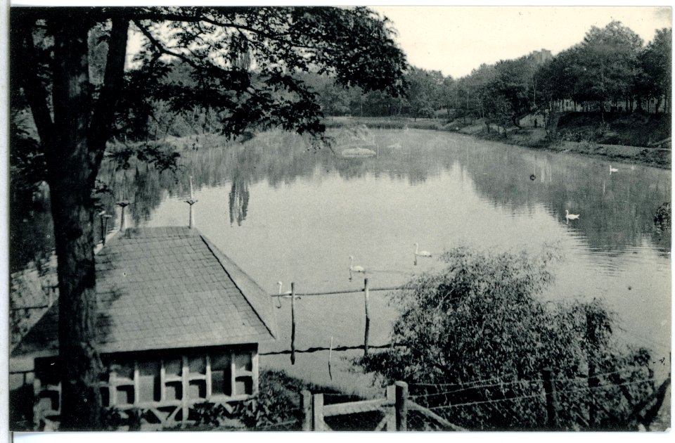 13943-Wittenberg-1912-In den Anlagen-Brück & Sohn Kunstverlag