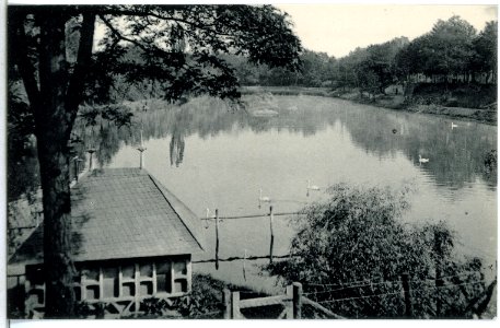 13943-Wittenberg-1912-In den Anlagen-Brück & Sohn Kunstverlag