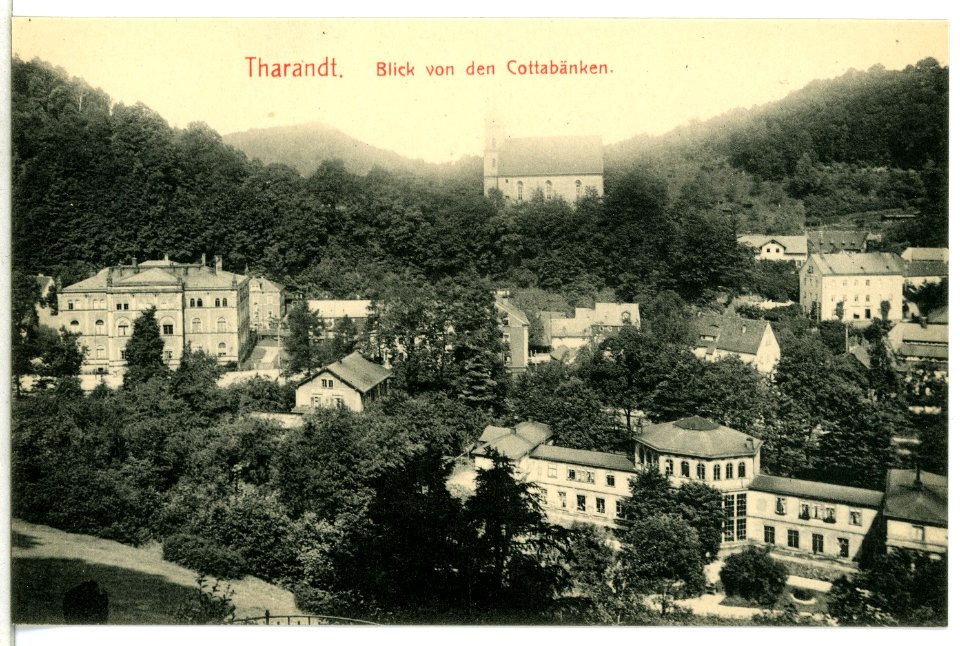 12883-Tharandt-1911-Blick von den Cottabänken-Brück & Sohn Kunstverlag