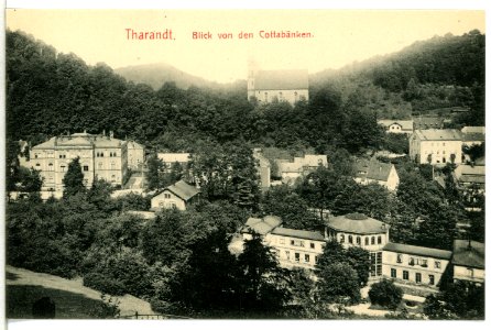 12883-Tharandt-1911-Blick von den Cottabänken-Brück & Sohn Kunstverlag