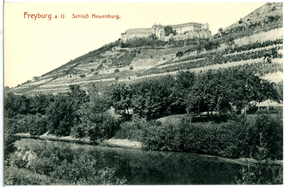 14169-Freyburg-1912-Schloß Neuenburg-Brück & Sohn Kunstverlag