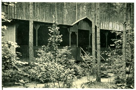13697-Mühlhausen-1911-Männerliegehalle im Heim-Walde des Genesungsheimes-Brück & Sohn Kunstverlag