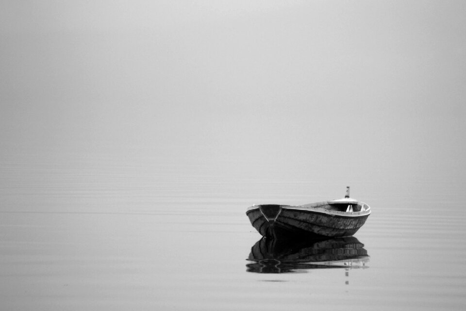 Single gray black and white