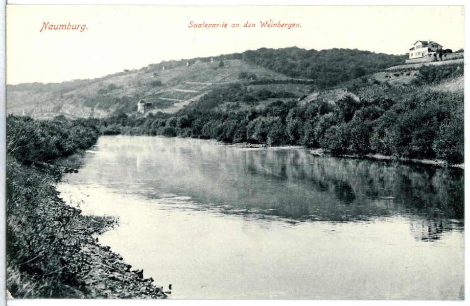 13931-Naumburg-1912-Saalepartie an den Weinbergen-Brück & Sohn Kunstverlag