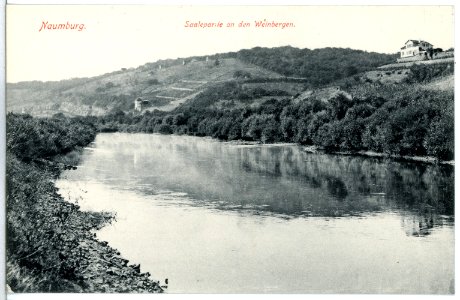 13931-Naumburg-1912-Saalepartie an den Weinbergen-Brück & Sohn Kunstverlag
