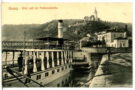 12513-Aussig-1911-Ferdinandshöhe - Elbe mit Dampfer-Brück & Sohn Kunstverlag
